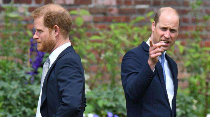 Major sign Prince Harry, Prince William's feud still ‘firmly cemented'